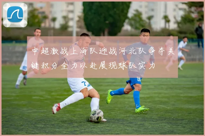 中超激战上海队迎战河北队争夺关键积分全力以赴展现球队实力